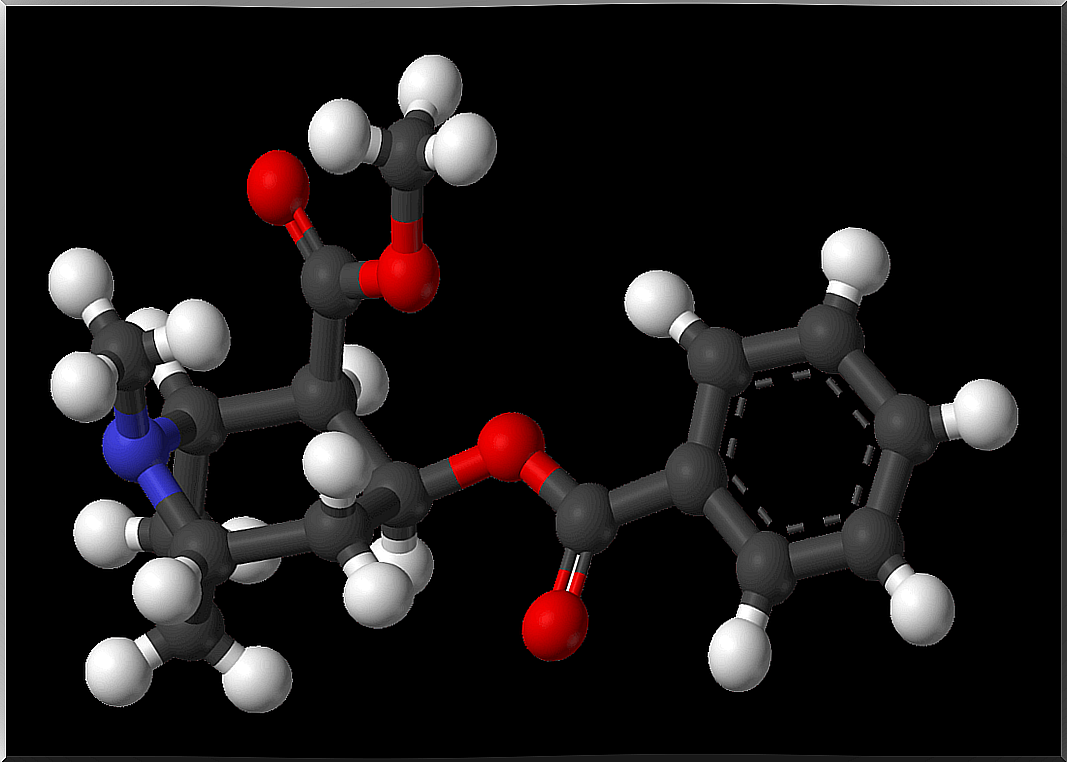 Chemical formula of cocaine