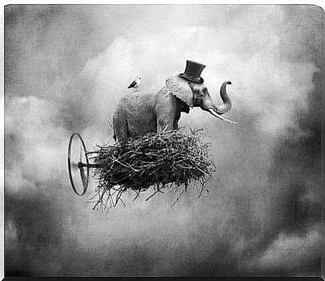 elephant on a cloud