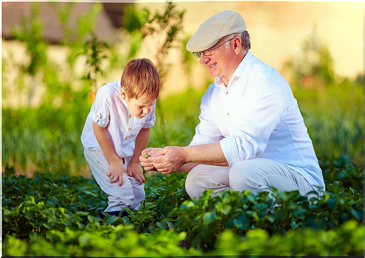 scene symbolizing how grandparents help develop grandchildren's talent