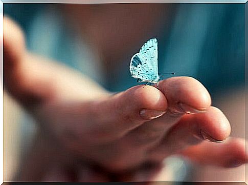 hand with butterfly symbolizing how to rest the mind