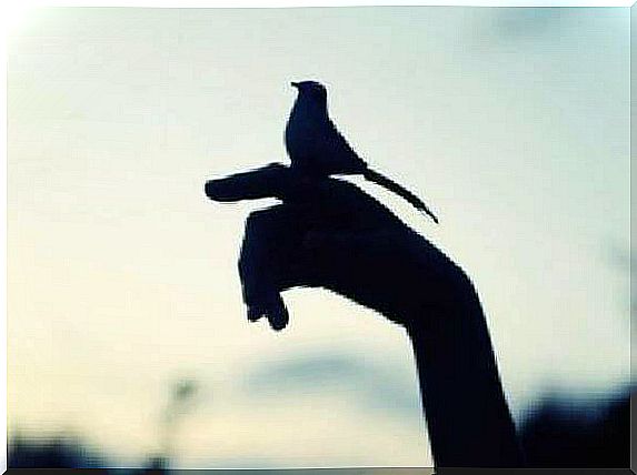 Hand with little bird