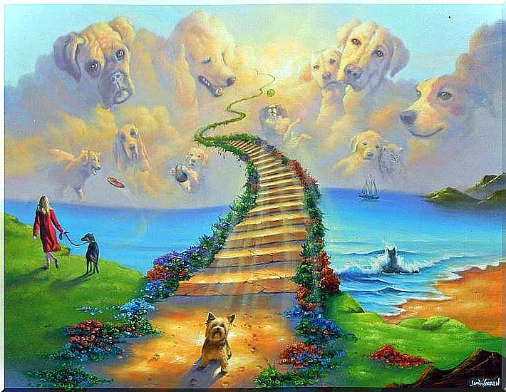 The legend of the Rainbow Bridge, the heaven of our pets