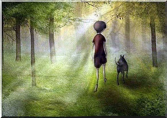 Boy walking through a forest with his dog