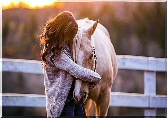 love to an animal: girl hugging a horse